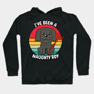 ive been a naughty boy - black dog Hoodie